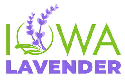 Iowa_lavender_rgb-06