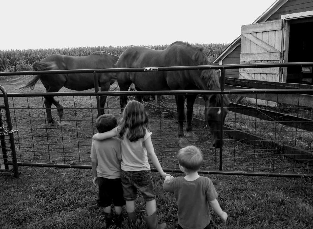 Kids_horses_bw